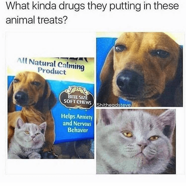 cat-treat-company-puts-into-their-anti-anxiety-treats-because-they-look-super-stoned-on-the-package.png