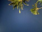 IMG_9182.jpeg