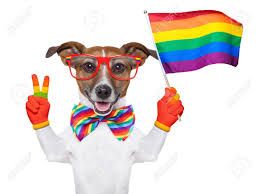 Gay Pride doggy.jpg