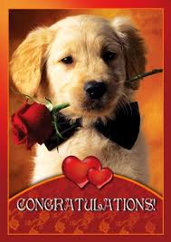 congratulations.jpeg